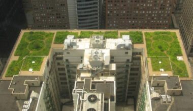 The end of 2025 must be the end of the inane rule of climate ‘optimism’