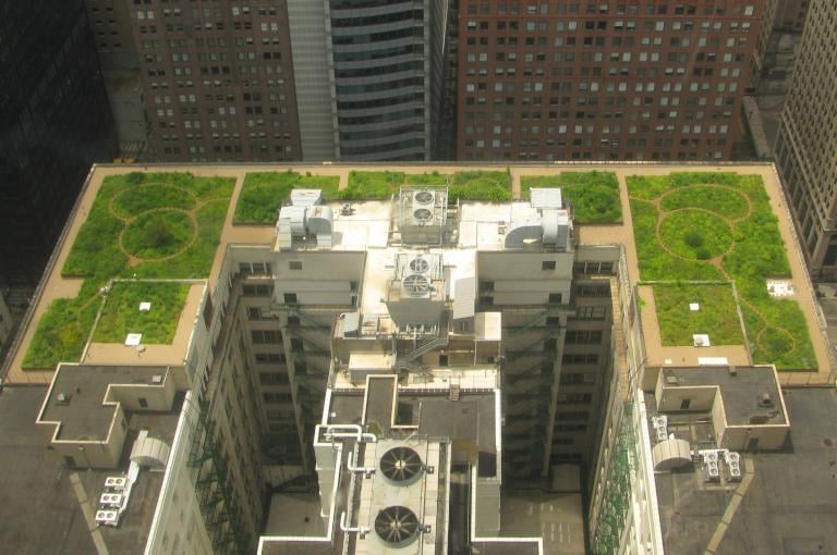 The end of 2025 must be the end of the inane rule of climate ‘optimism’