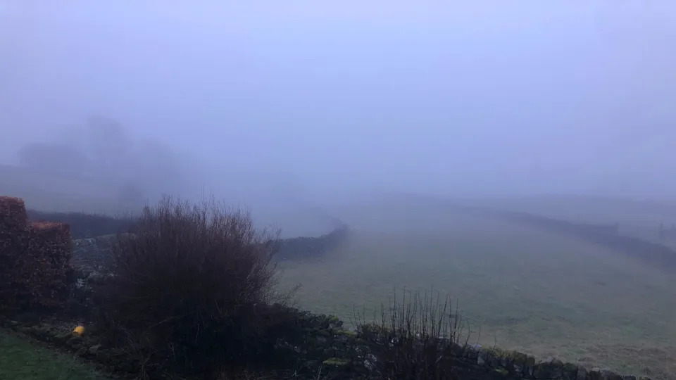 A view looking out to fields delimitated by drystone walls. The scene is covered in thick mist. There are a few bare shrubs in the foreground and a barely visible tree to the left.