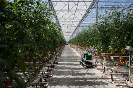 Tourism instead of mining. Upper Nitra needs to transform