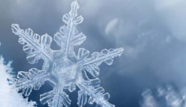 Valley Health Operations During Winter Weather