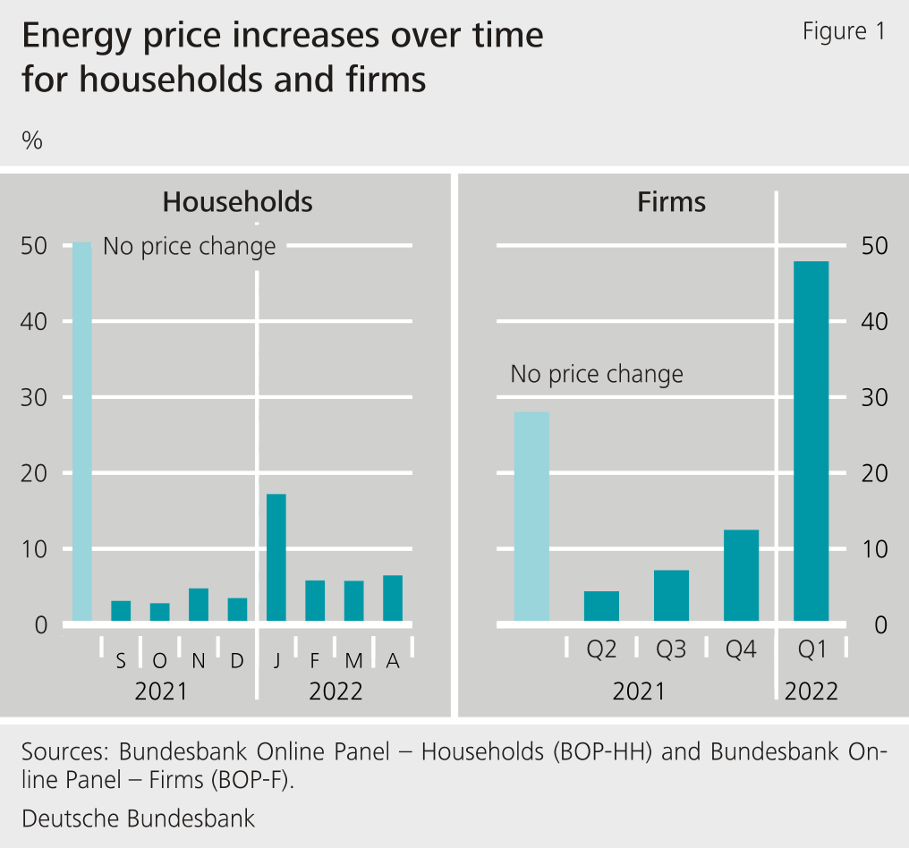 Figure 1: Energy price increases over time for households and firms