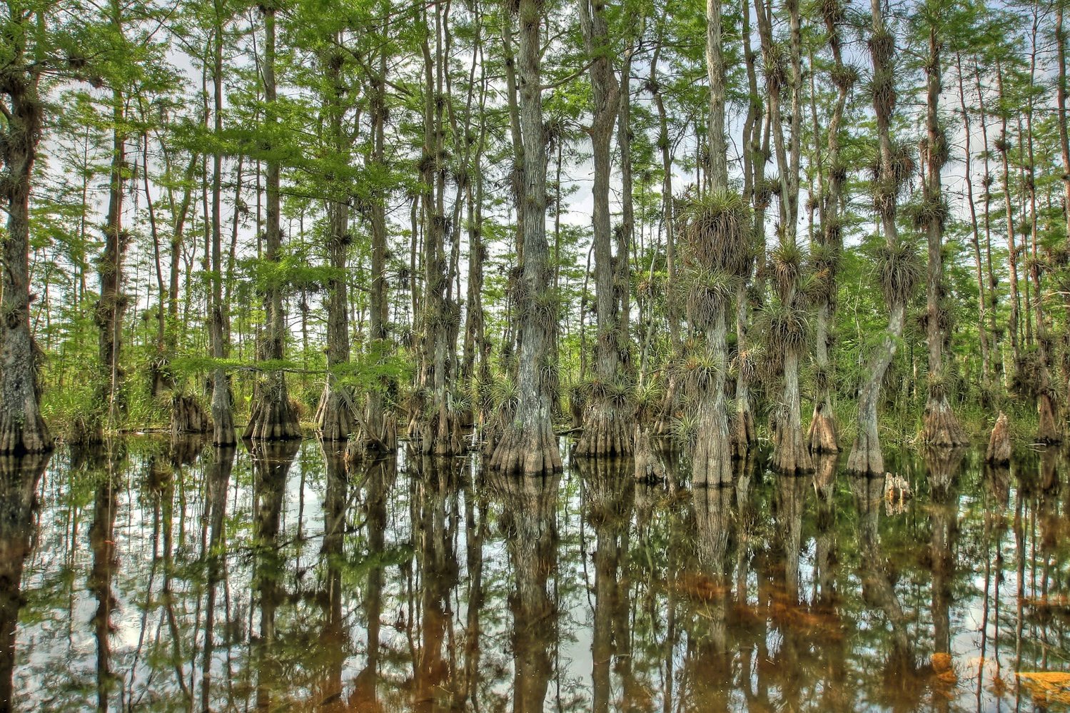 DEP highlights 2025 environmental achievements