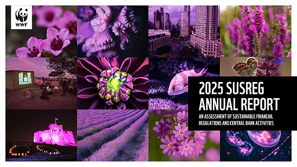 ECB and EU central banks lead on climate, but action on nature risks is missing – WWF report