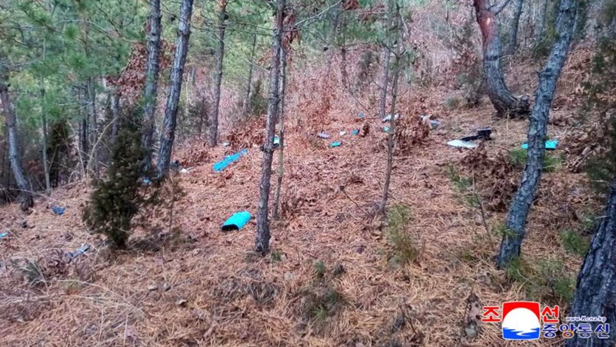 North Korea demands detailed 'explanation' from Seoul over drone incursion