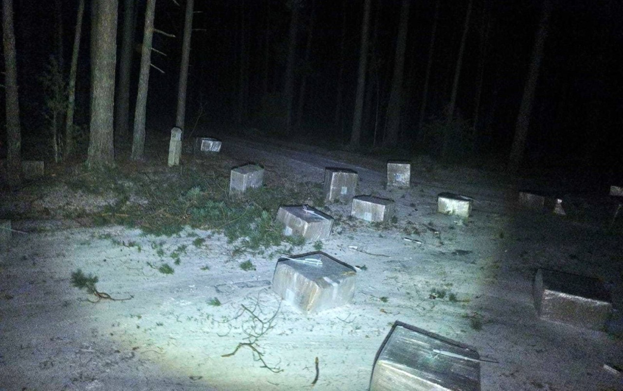 Cigarettes Worth More Than €250,000 Found in Lithuanian Forest