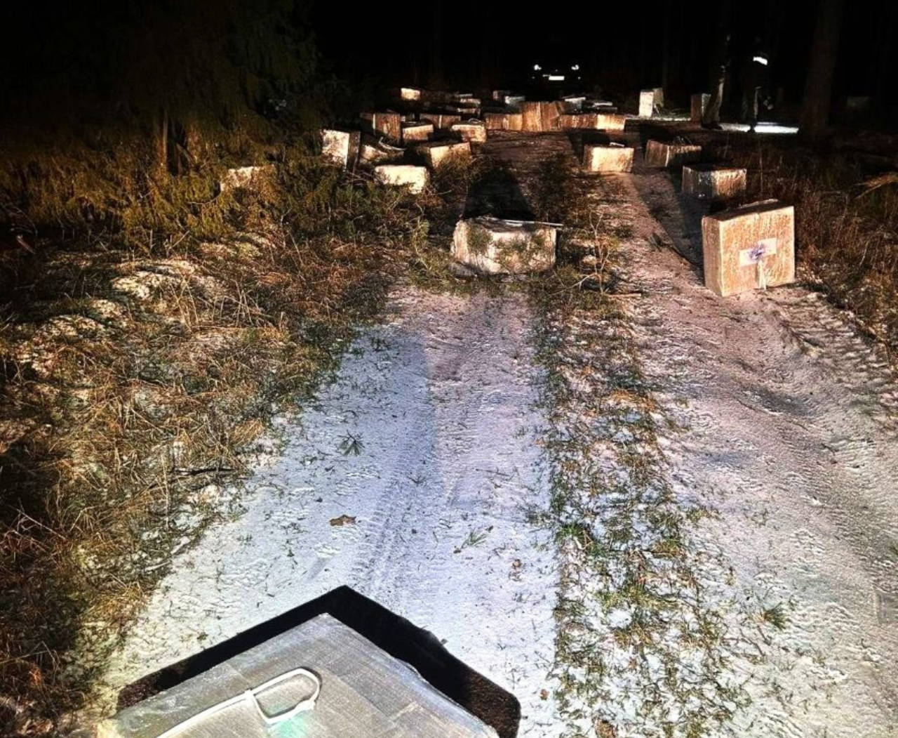 Cigarettes Worth More Than €250,000 Found in Lithuanian Forest