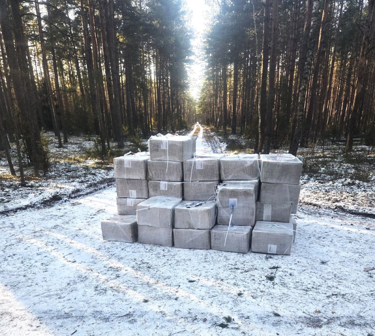 Cigarettes Worth More Than €250,000 Found in Lithuanian Forest