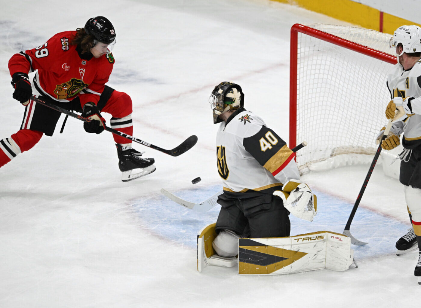 Logo de l'application