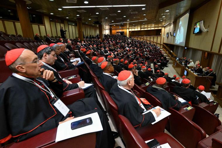 Cardinals meet with Pope Leo XIV in the third session of the consistory on Jan. 8, 2025, at the Vatican.