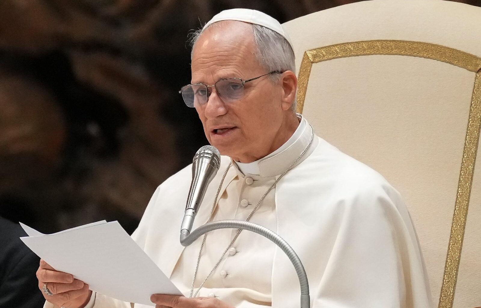 Full text: Pope Leo XIV’s general audience given Jan. 21, 2026