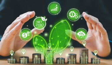 COP30 and the Fragile Architecture of Global Climate Finance