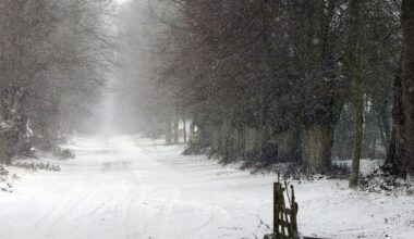 Suffolk colder than Iceland as county plummets to -9C