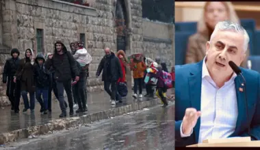 Sweden has a responsibility to deescalate Aleppo clashes: MP