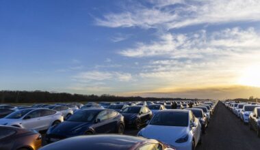 Tesla trades higher after Musk has "lovely dinner" with President Trump