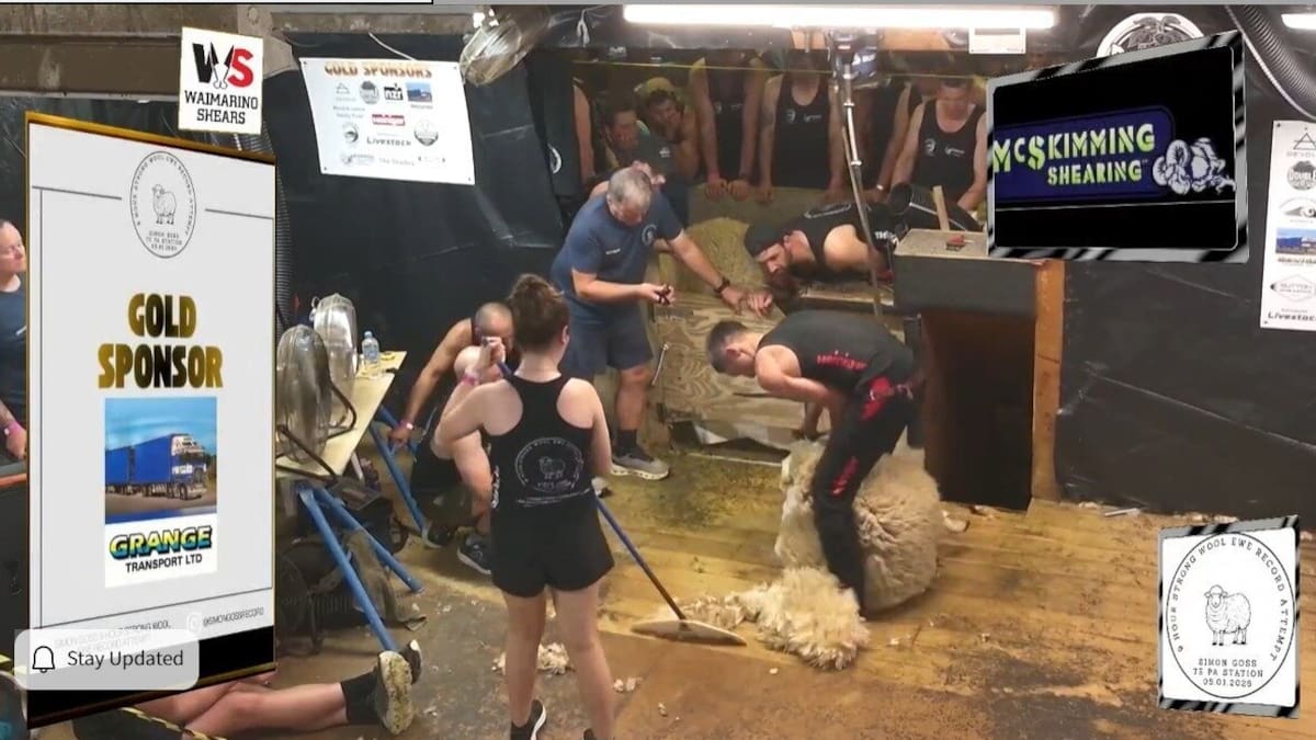 Whanganui shearer Simon Goss breaks world shearing record with 732 ewes in nine hours