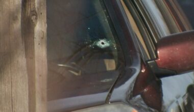 Driver fatally shot by immigration agent