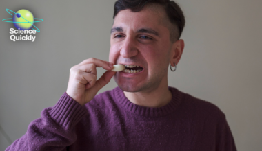 The surprising science behind how certain foods can make you smell more attractive