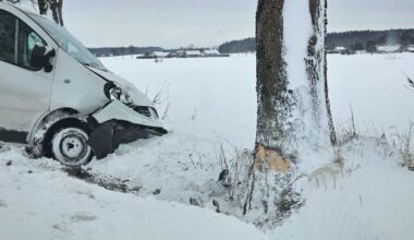 Renault uderzył w drzewo. 2 osoby trafiły do szpitala - Aktualności