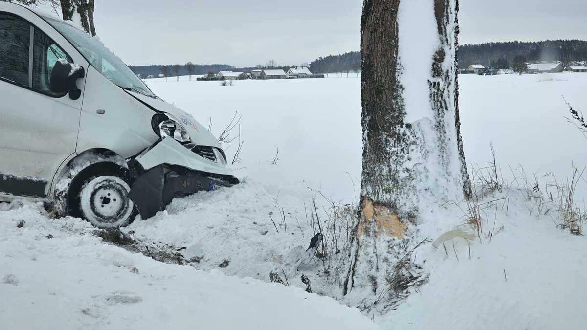 Renault uderzył w drzewo. 2 osoby trafiły do szpitala - Aktualności