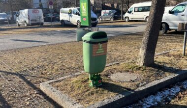 Sozial oder Asozial?