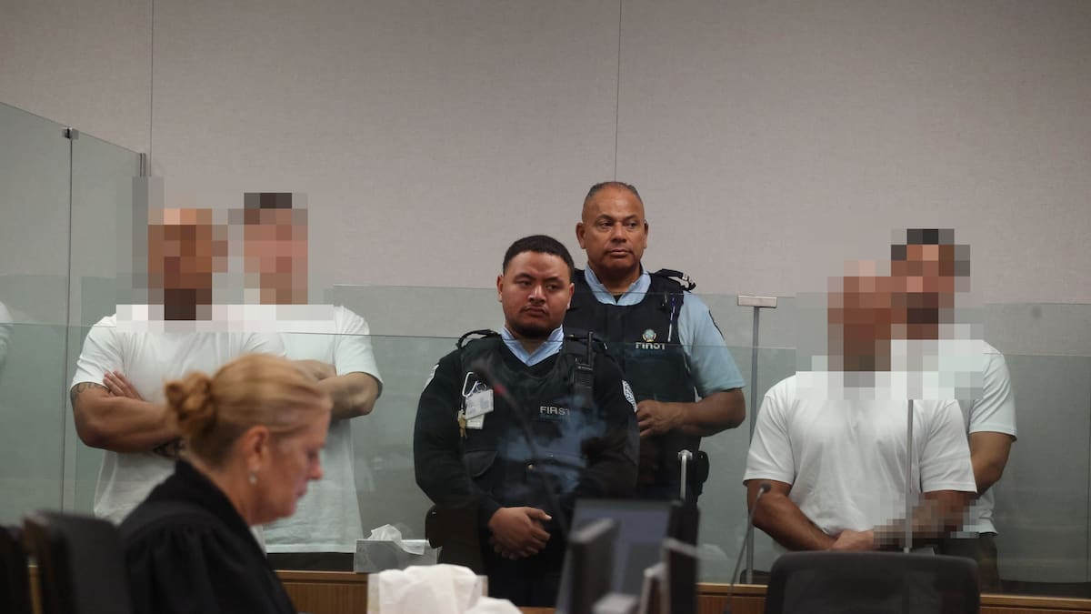 Mt Wellington daylight attack: Two murder defendants appear in Auckland court, four others charged as accessories