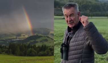 TENTO vzácny živočích prežil v Európe len vďaka Slovensku!