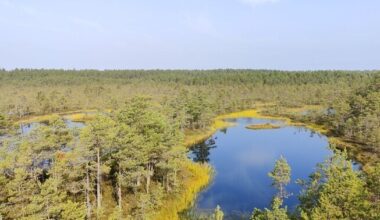 Estonia not joining Finland's initiative against EU nature restoration rules | News