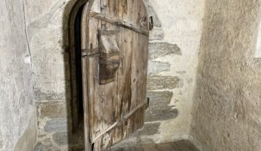 Tree-ring dating upends record for Estonia's oldest door | News