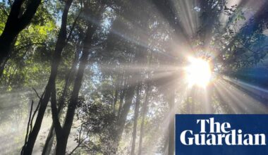 Teenage boy’s body found in creek after Blue Mountains camping trip | New South Wales