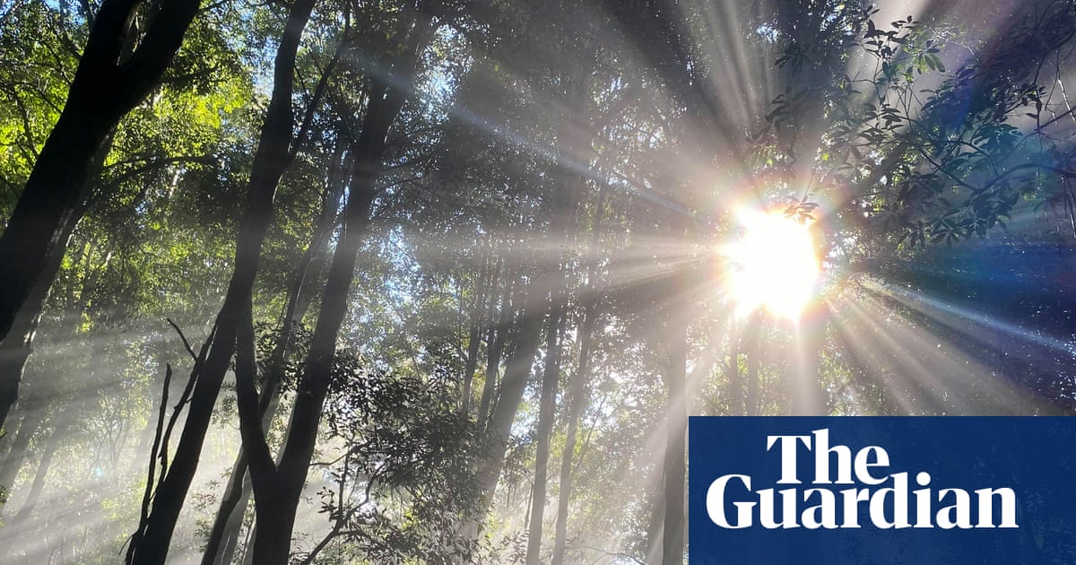 Teenage boy’s body found in creek after Blue Mountains camping trip | New South Wales