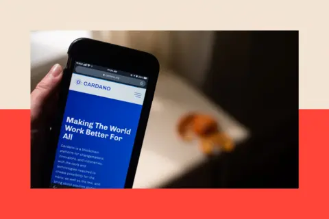 Bloomberg via Getty Images The Cardano website on a smartphone