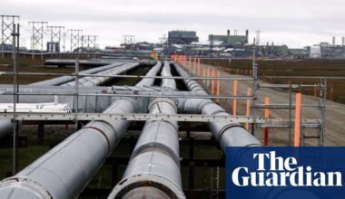 Oil prices record steepest annual fall since Covid pandemic | Oil