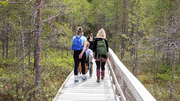 Retkeilijöitä esteettömällä reitillä pyörätuolin kanssa.