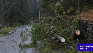 Extrémna víchrica až 160 km/h, hustá hmla a dážď. Počasie skomplikuje situáciu na Slovensku