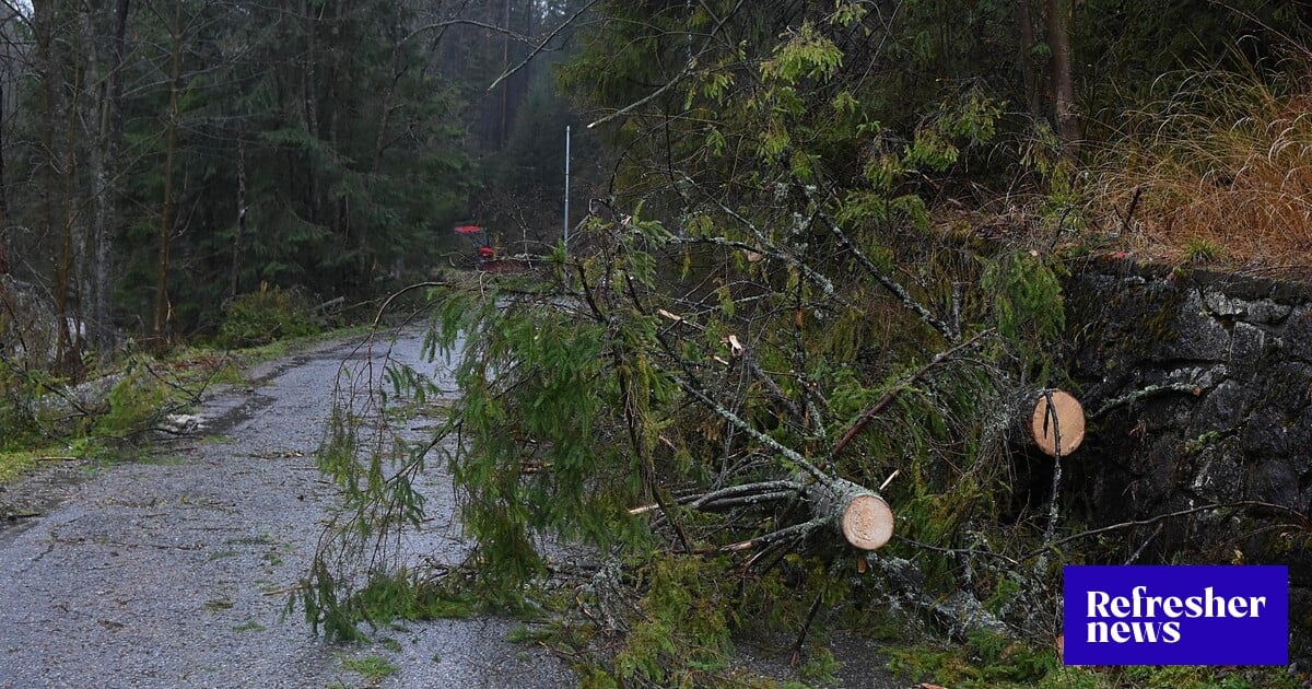 Extrémna víchrica až 160 km/h, hustá hmla a dážď. Počasie skomplikuje situáciu na Slovensku