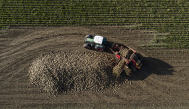 Der Bund sprach im letzten Jahr 48,6 Milliarden Franken Steuergeld als Subventionen – und finanziert dabei vor allem sich selbst, zeigt IWP-Studie