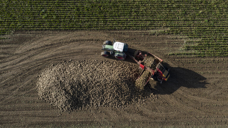 Der Bund sprach im letzten Jahr 48,6 Milliarden Franken Steuergeld als Subventionen – und finanziert dabei vor allem sich selbst, zeigt IWP-Studie