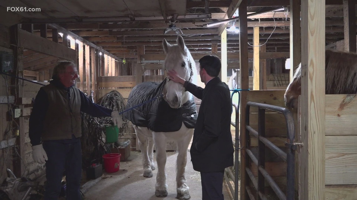 Rescheduled horse-drawn carriage rides expected to bring additional business to Old Wethersfield