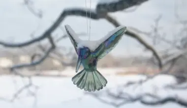 20-degree frost will hit Latvia