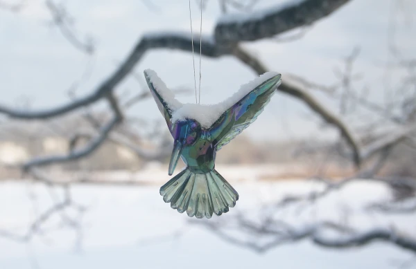 20-degree frost will hit Latvia