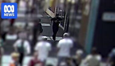 Video shows man throwing explosive device into Perth Invasion Day rally crowd