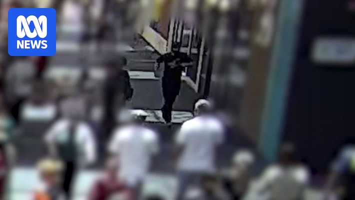 Video shows man throwing explosive device into Perth Invasion Day rally crowd