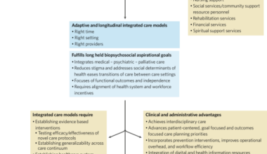 Fundamentals of healthcare delivery science for the non-health systems scientist: the final step in translational research for late-life psychiatric and neurocognitive disorders