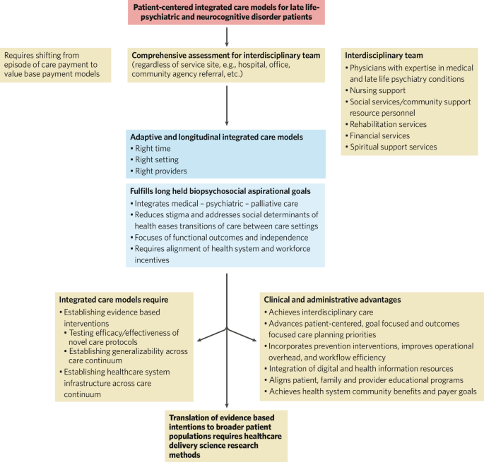Fundamentals of healthcare delivery science for the non-health systems scientist: the final step in translational research for late-life psychiatric and neurocognitive disorders