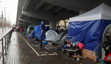 Spain sees over 40% drop in migrant arrivals in 2025