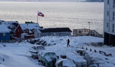 Strategic value, vast critical minerals: Why US wants Greenland?