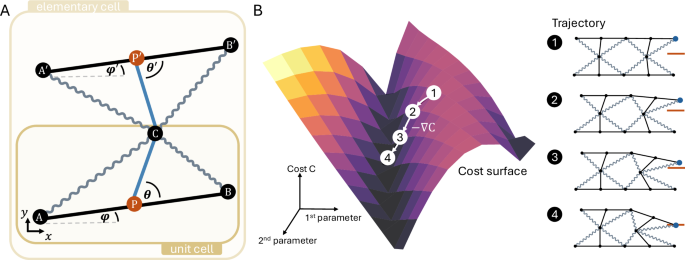 Continuous design and reprogramming of Totimorphic structures for space applications