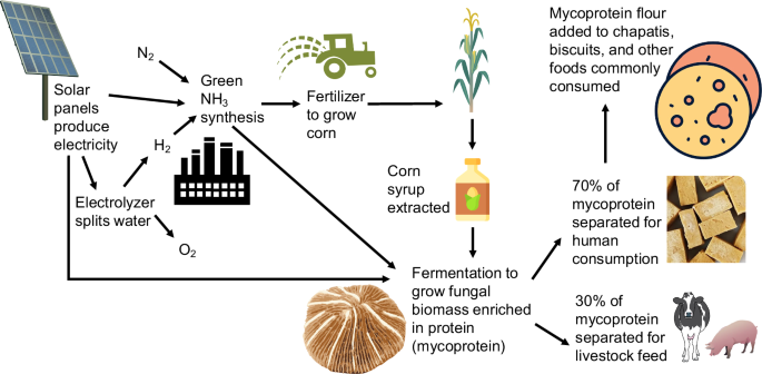 Green ammonia presents an opportunity to advance energy and food system sustainability in India