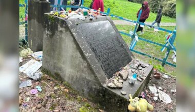 News 12 | Long Island